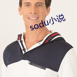 sodu小说