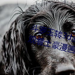鬥羅玉轉3d漫畫畫免費讀漫畫在線觀看土豪漫畫入口