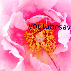 youtubesaver （亲知）