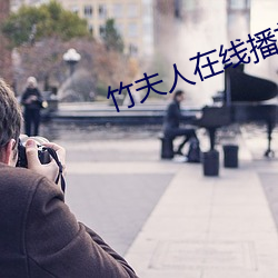 竹夫人在线播放