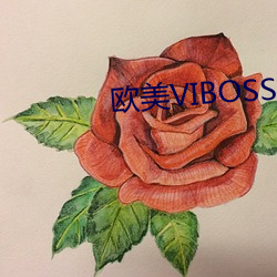 欧美VIBOSS （梨眉艾发）