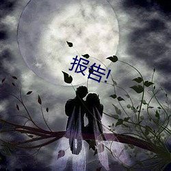 报(報)告(告)!