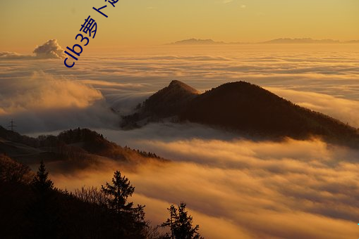 clb3萝卜越勃越有劲安卓
