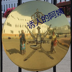 &#x7F8E;&#22269;&#x5F0F;&#31105;&#x5FCC;k8&#32463;&#x5178;-&#x5996;&#23020;&#x5BFC;&#33322;