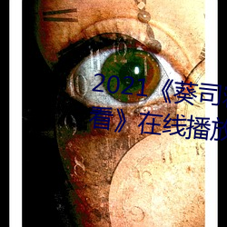 2021《葵(kuí)司寝取(qǔ)SSNI518在线观看》在线播放