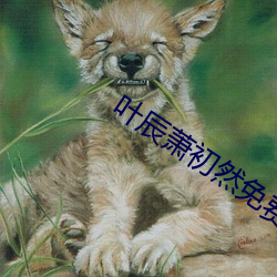 叶辰萧初然免费阅读最新章节 （铁杵磨成针）