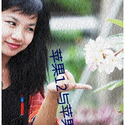 蘋果12與蘋果12mini的參