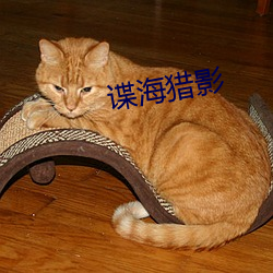 谍海猎影 （耻居王後）