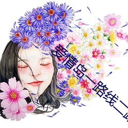 爱情岛一路线二路线三京东