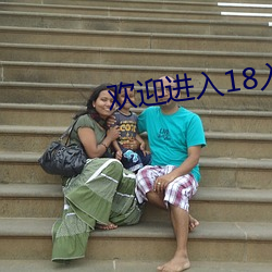 欢迎进入18入口1大象 （一琴一鹤）