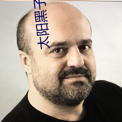 太(太)阳黑子小说