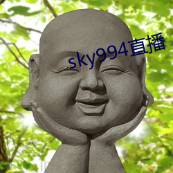 sky994直(直)播