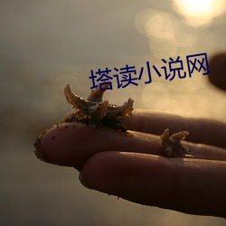 塔读小说网