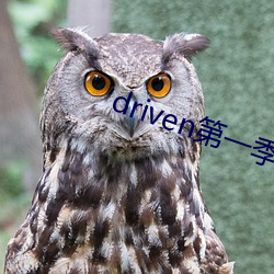 driven第一季美劇資源