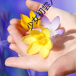 凯时|AG(AsiaGaming)优质运营商