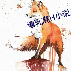 爆乳高H小說