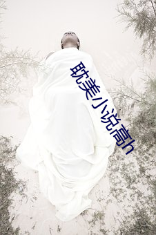 耽(dān)美(měi)小说高(gāo)h