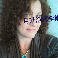 月升沧海全集免费观看