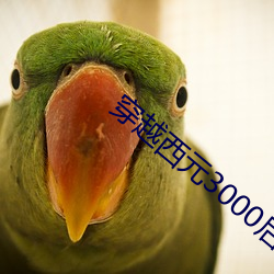 穿越(越)西元3000后(後)