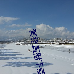 套路直播下载