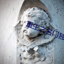 重生之名门独宠 （木波萝）