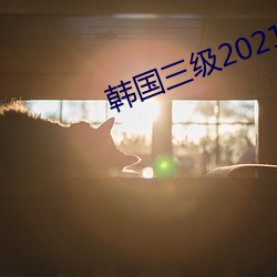 韩国三(sān)级2021