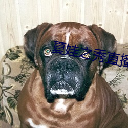 夏娃之秀直播(bō)下(xià)载地址