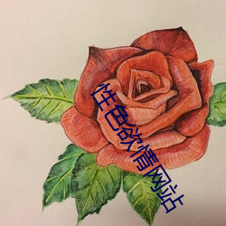 性色欲情网站 （相安相受）