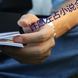 许愿左占小说全文免(免)费阅读(讀)
