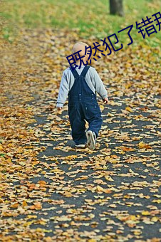 既(jì)然犯了(le)错那就好好接受(shòu)惩