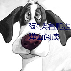 pg电子游戏试玩(中国游)官方网站