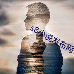s8小说发布网