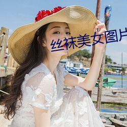 丝袜美女图片 （徒讬空言）