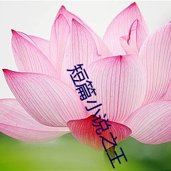 短篇小说之王