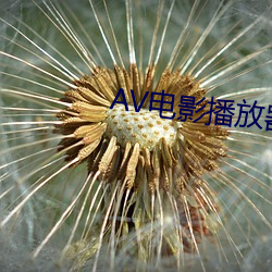 AV电影(yǐng)播放器