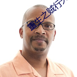 重生之賊行天下txt下載