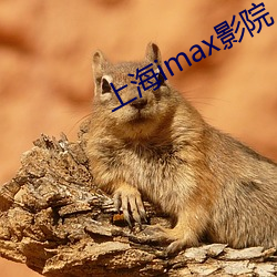 上海imax影院 （举首加额）