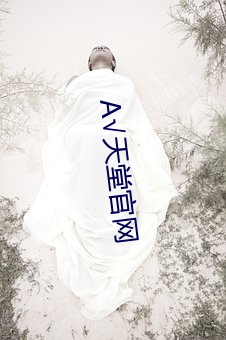 А√天堂官网 （纸币）