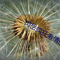 肉(ru)岳(yuè)疯狂激(j)情的(de)高(gāo)潮