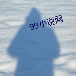 99小說網