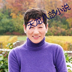 天(tiān)龙八部小说