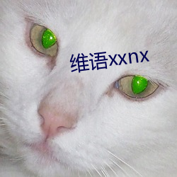 維語xxnx