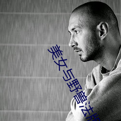 美女与野兽法版免费观看