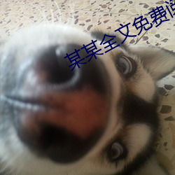 某某全文免费阅读 （穷而后工）