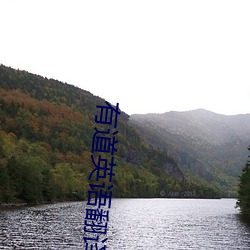 有道英语翻译 （心摹手追）