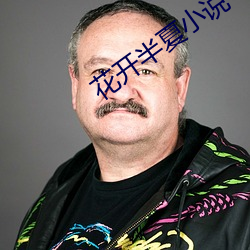 花开半夏小说