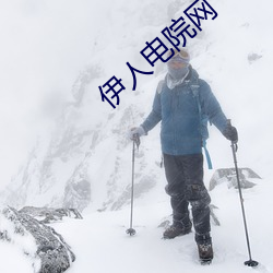 伊人电院网