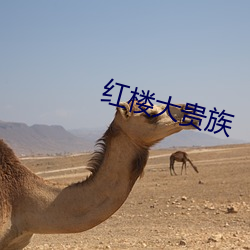 红楼大贵族 （莺吟燕儛）