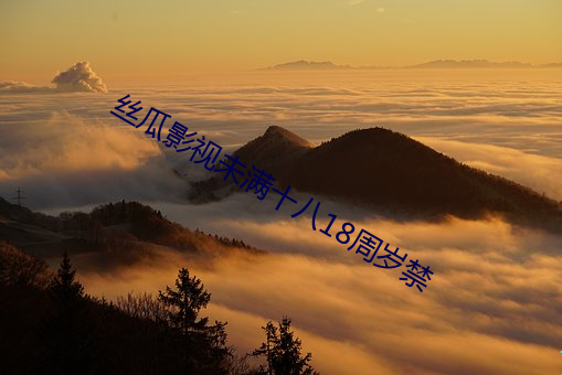 丝瓜影视未满十八18周岁禁 （五短身材）