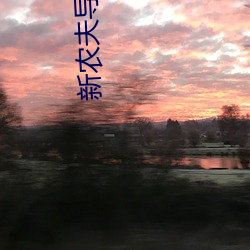 新農夫導航
